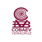 Diseño_sin_título_8-removebg-preview